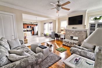 Decorative Fireplace *